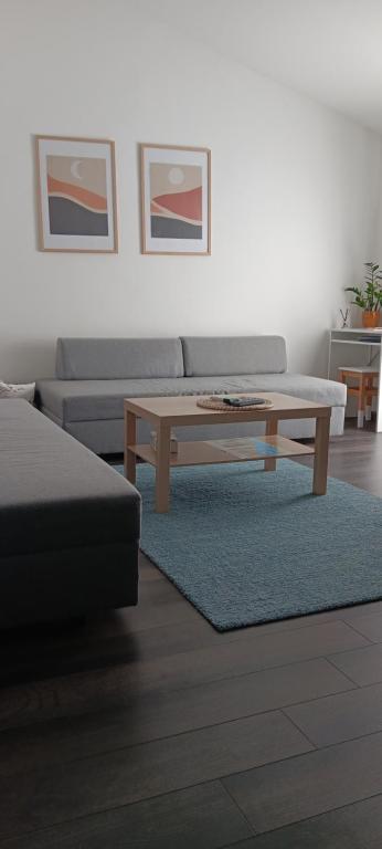 Posezení v ubytování Apartman Dunav
