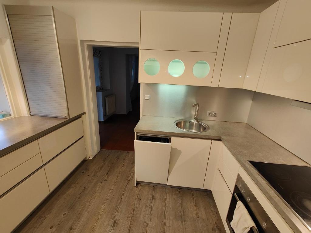Kuchyň nebo kuchyňský kout v ubytování Gemütliches Haus mit schönem Garten