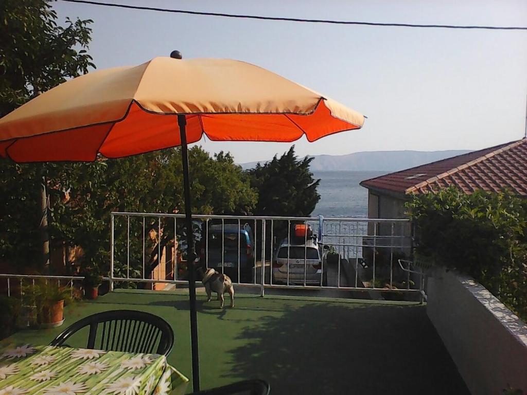 eine Terrasse mit einem Regenschirm und einem Hund, der auf dem Hof steht in der Unterkunft Apartman Nena in Klenovica