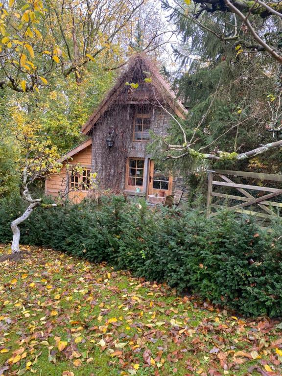 uma casa velha com telhado de palha na floresta em La Maisonnette des Hêtres Rouges em Spa