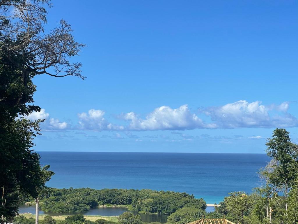 a view of the ocean from a hill at Bas de villa couleuvre in Deshaies