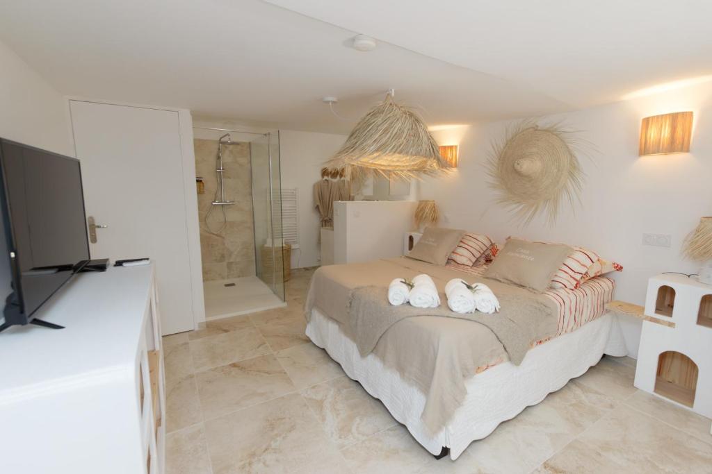- une chambre avec un lit, une douche et une télévision dans l'établissement CASA Farniente Appartement Cocooning Provence Verte, à Montfort-sur-Argens
