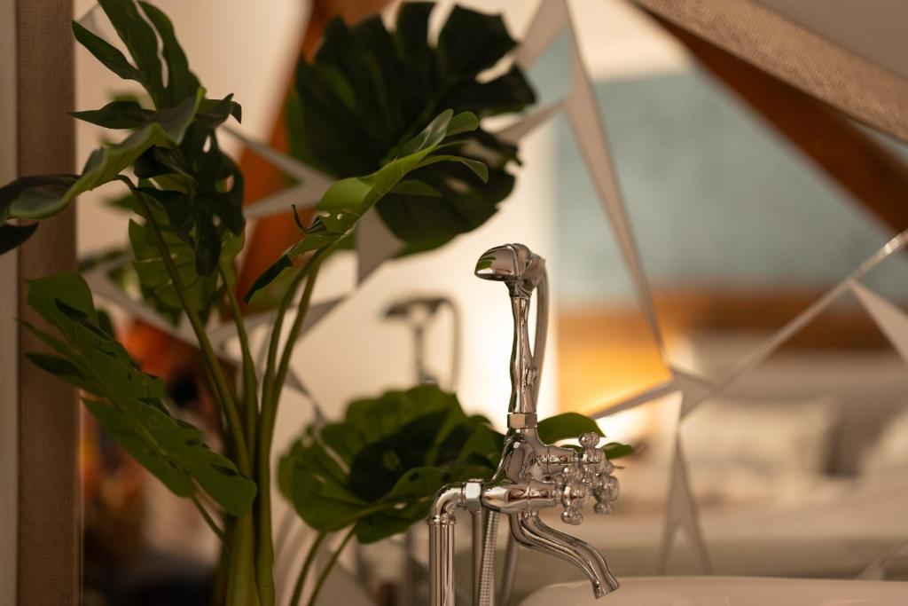 Boutique 17B - Resim 22