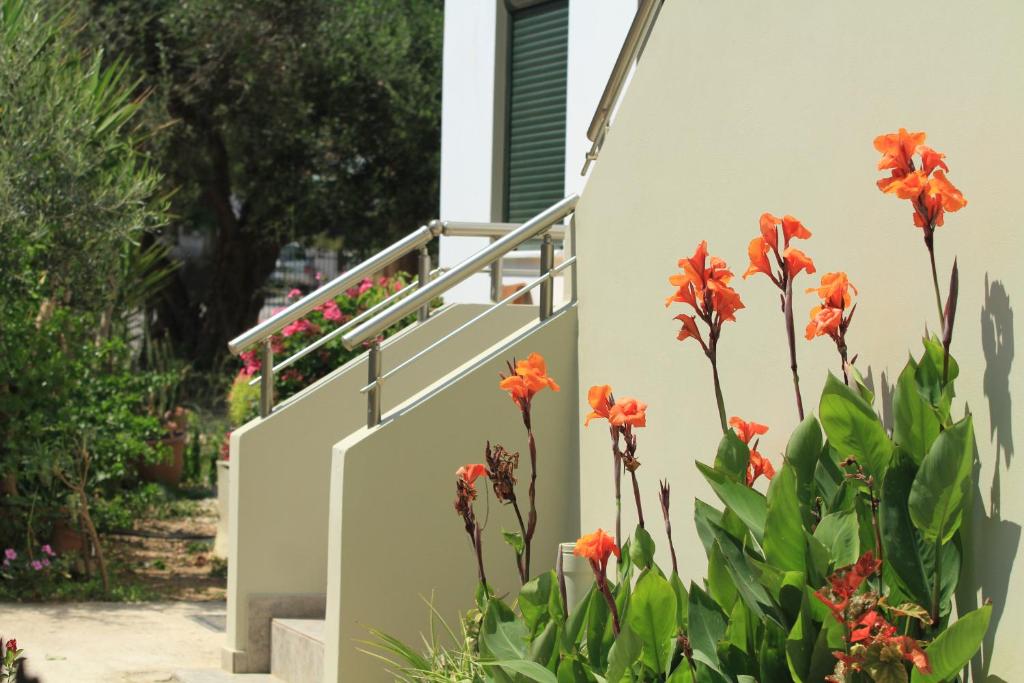 a stairway with orange flowers in front of a house at Xenios Zeus Apartments in Kissamos