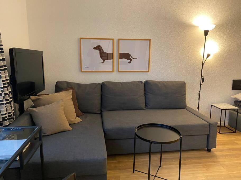 ein Wohnzimmer mit einer grauen Couch und zwei Bildern eines Hundes in der Unterkunft Möblierte Wohnung Hannover List in Hannover