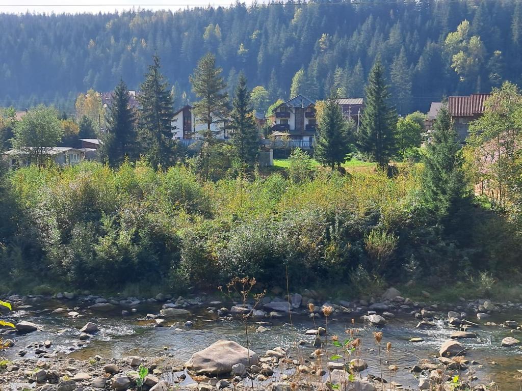 a river with houses and trees in the background at Villa Girska Sonata in Mykulychyn