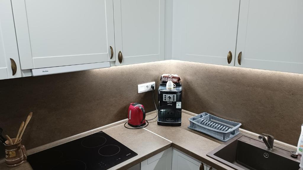 Kuchyň nebo kuchyňský kout v ubytování Apartmán Sofia