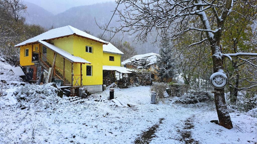 STD "Vila Bor" Stara planina v zimě