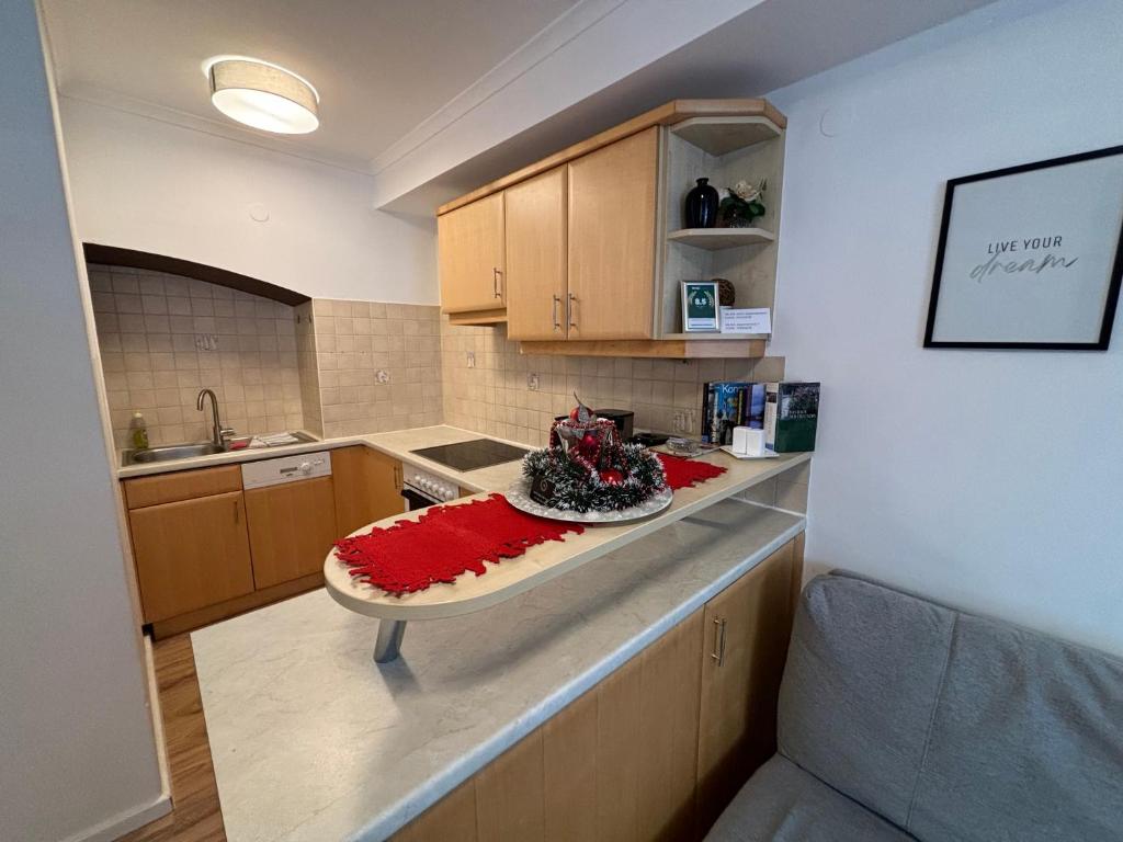 Kuchyňa alebo kuchynka v ubytovaní Appartements Slishani 1