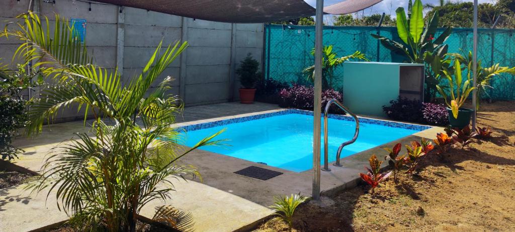 una pequeña piscina en un patio con plantas en Casa Luna, espacio moderno y acogedor, en Liberia