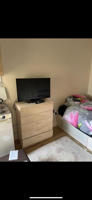 - une chambre avec une télévision à écran plat et un lit dans l'établissement Beautiful Studio flat, à Enfield Lock