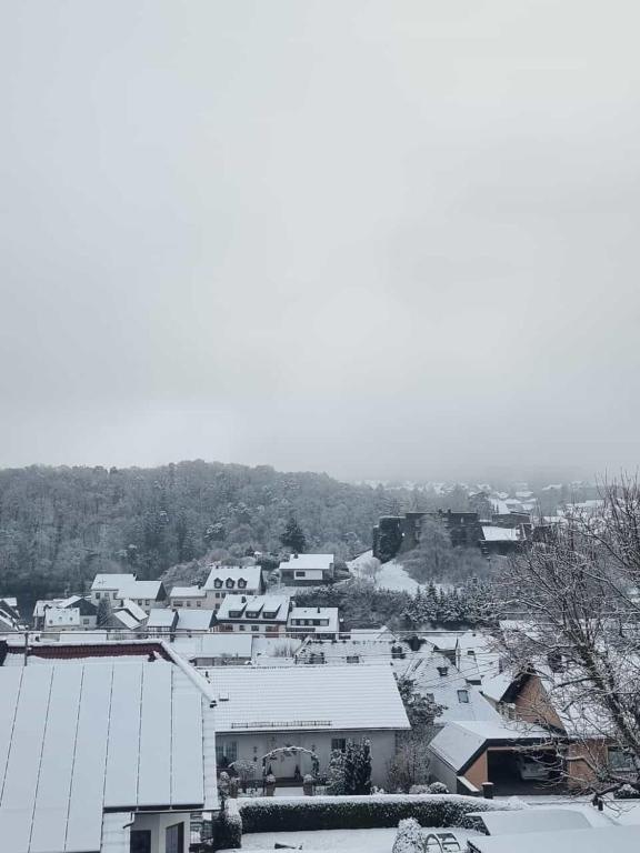 Ferienwohnungen Eifelstuben mit Charme - am See, nahe Burg im Winter