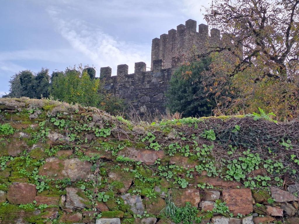 Fotografie z fotogalerie ubytování Largo da Fonte v destinaci Sertã