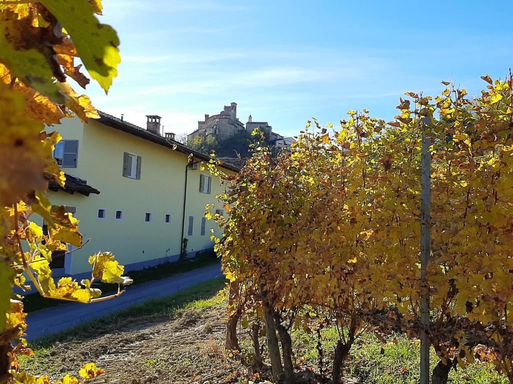 a white building with trees in front of it at Ciabot delle Aie - Barolo in Barolo