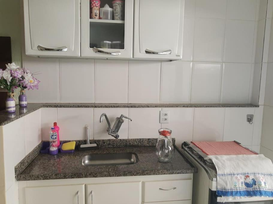 uma cozinha com um lavatório e uma bancada em Apto Edifício Esmeralda em Viçosa