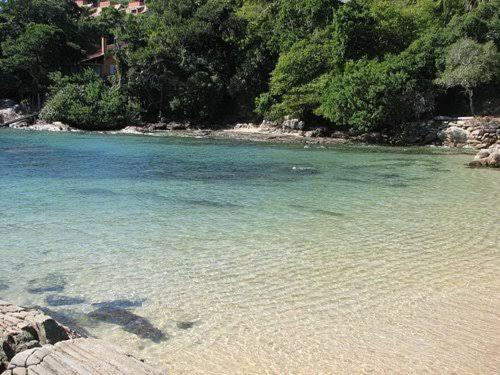 a beach with clear blue water and trees at Edificio Daniela Ap 101 in Bombinhas