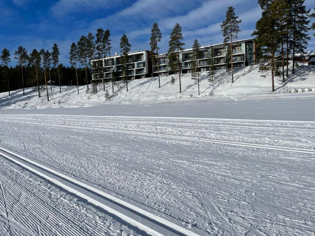 Vuokatti Chalets Aarni зимой