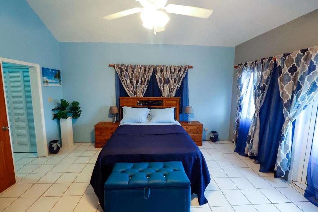 瓦利的住宿－C&D Residential Penthouse，一间卧室设有一张床和蓝色的墙壁