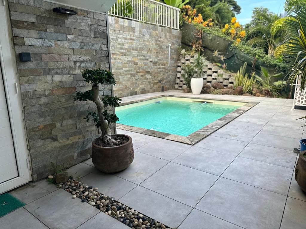 a swimming pool in a backyard with a potted plant at Havre de paix, en atlantique ! in Sainte-Marie