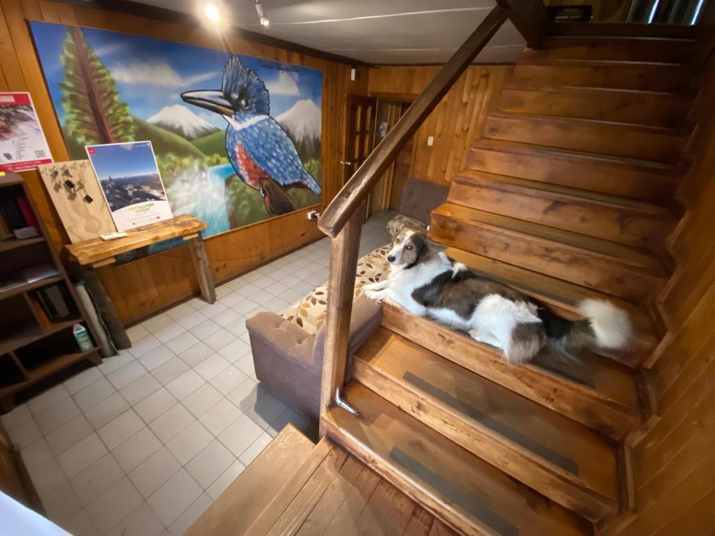 Gallery image of Hostería Futaleufu in Futaleufú