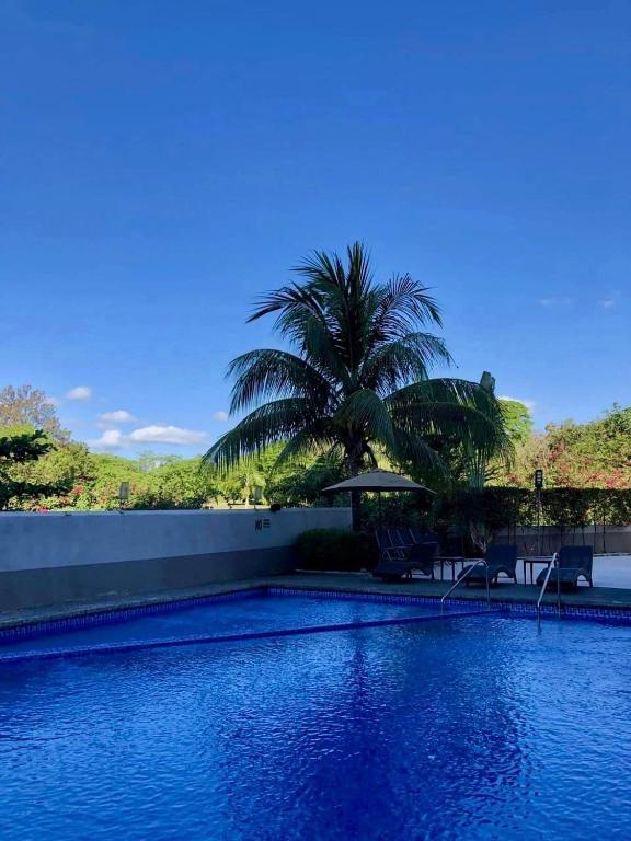 Bazén v ubytování PUNTA CLARK HOTEL nebo v jeho okolí