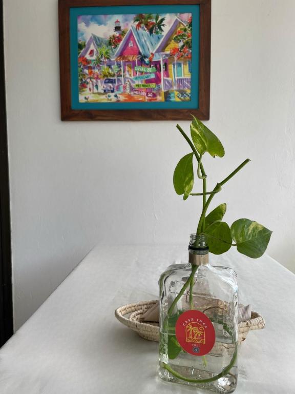 Galería fotográfica de Casa Inés Tolú en Tolú