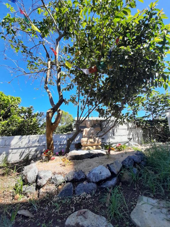 Zahrada ubytování El-Sangha Studio 2mina pieds de la plage de baie du cap