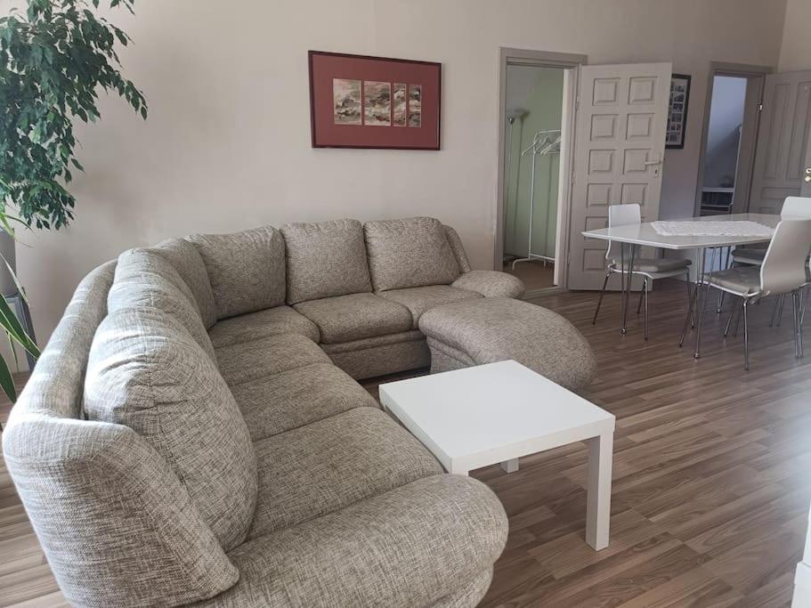 Χώρος καθιστικού στο Spacious Apartment Panemune