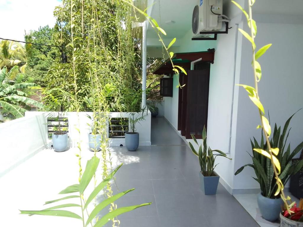 Κήπος έξω από το Lakmali Homestay 2