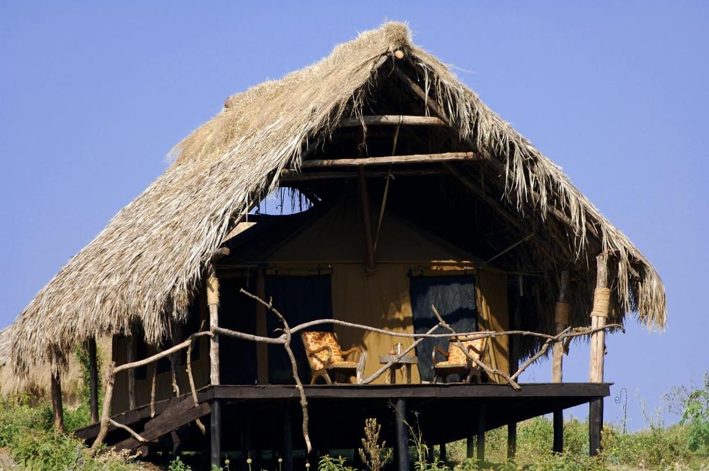 a hut with a thatched roof on a field at Crater Forest Tented Lodge in Karatu
