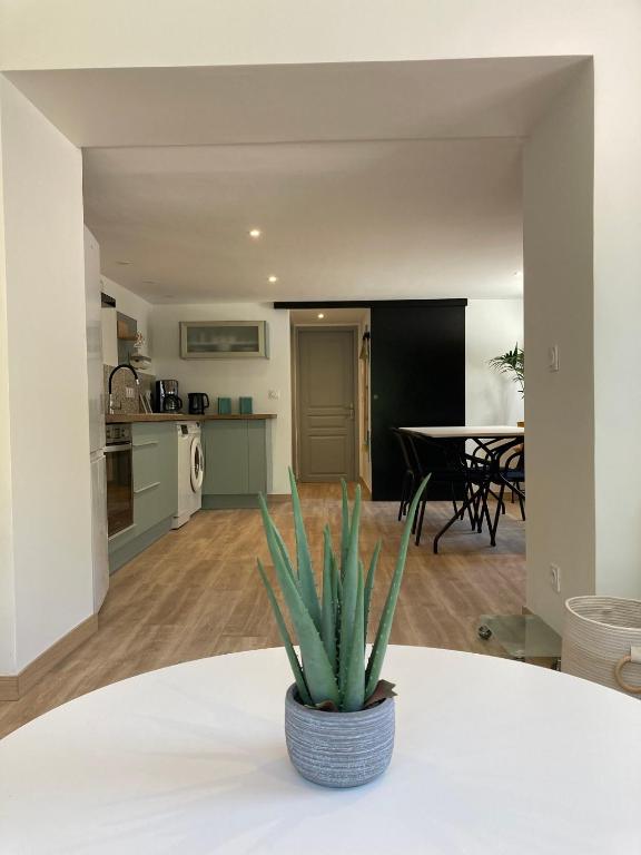 une plante en pot assise sur une table dans une cuisine dans l'établissement Appartement T2 rez de chaussée villa Les Tamaris Aix-les-Bains, à Aix-les-Bains