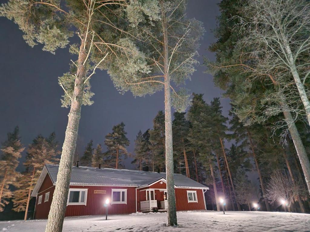 a house in the snow at night with trees at Lomatalo Honkamäki in Kuhmalahti
