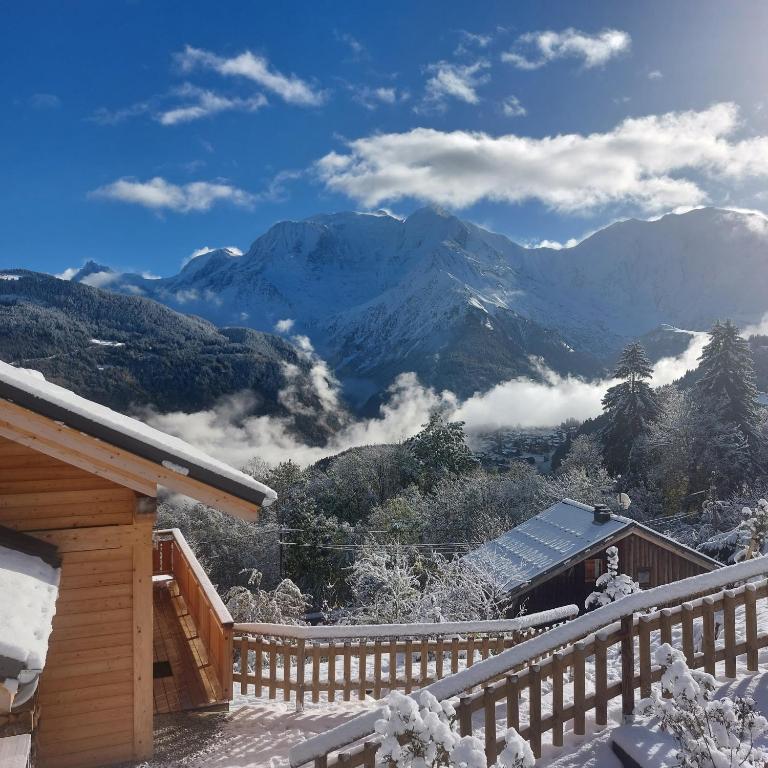Objekt Chalet du Tricot - Vue sur le Mont Blanc zimi