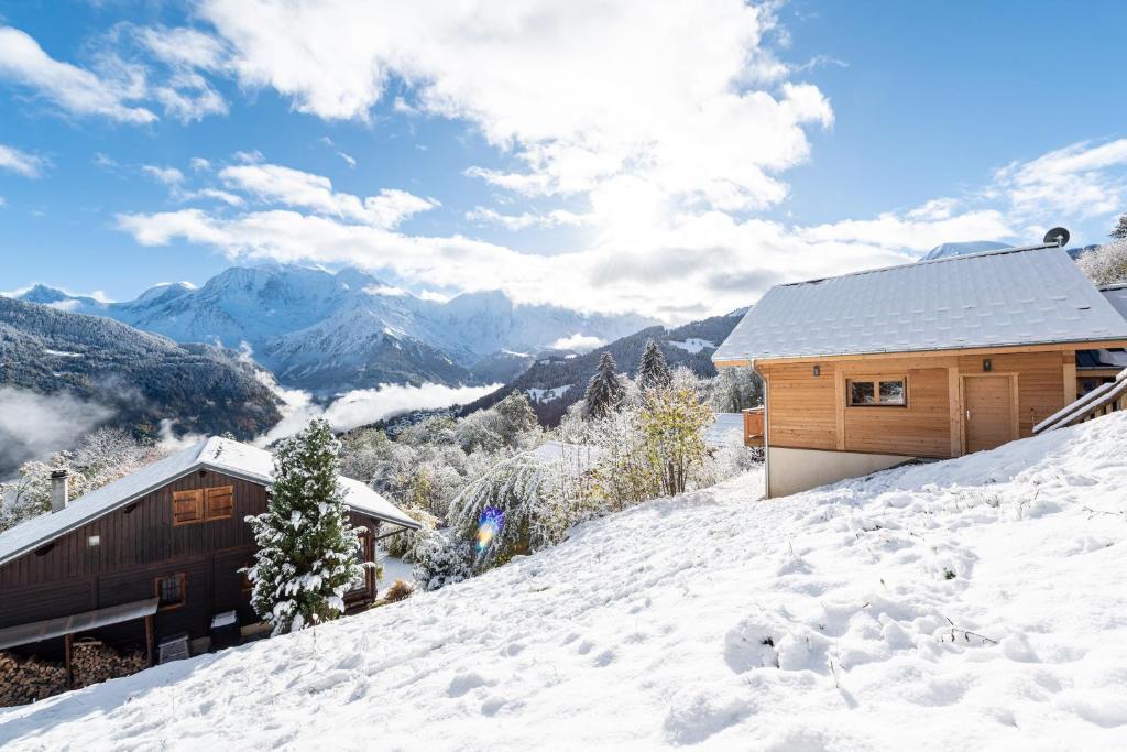 Objekt Chalet du Tricot - Vue sur le Mont Blanc zimi