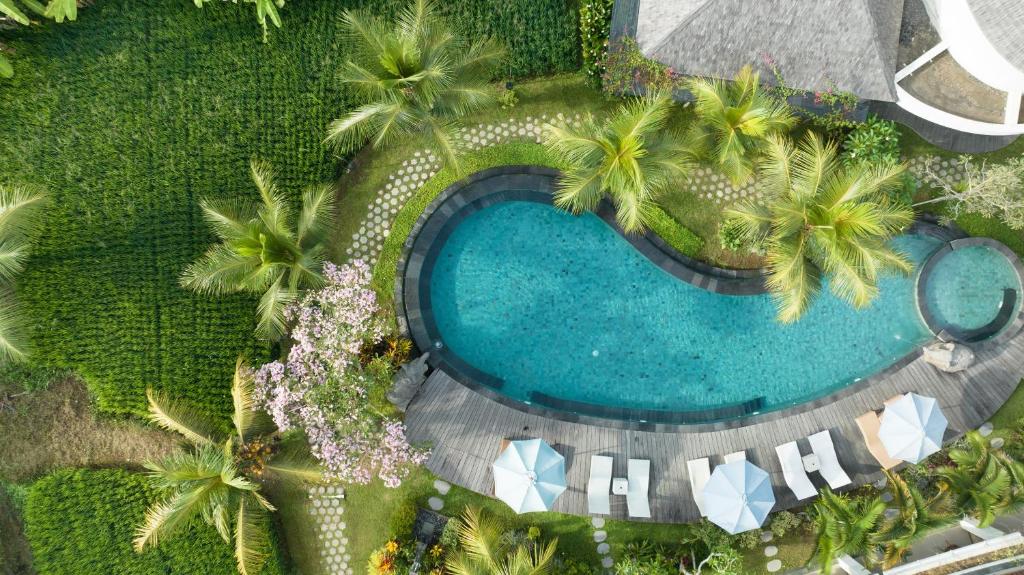 - une vue sur la piscine bordée de palmiers dans l'établissement Queen at Gunung Sari, à Ubud