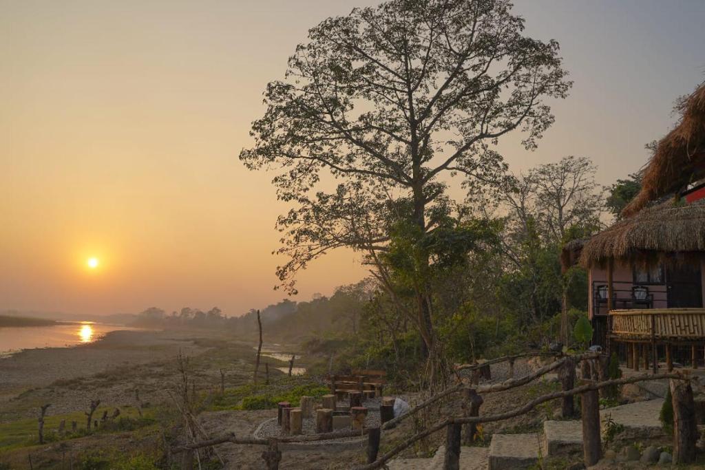 a sunrise over a river with a tree and a hut at Bamby Chilling House in Sauraha