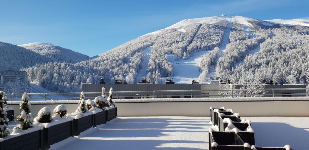 een uitzicht op een berg met sneeuw bedekte bomen bij Sarajevo 84 in Bjelašnica