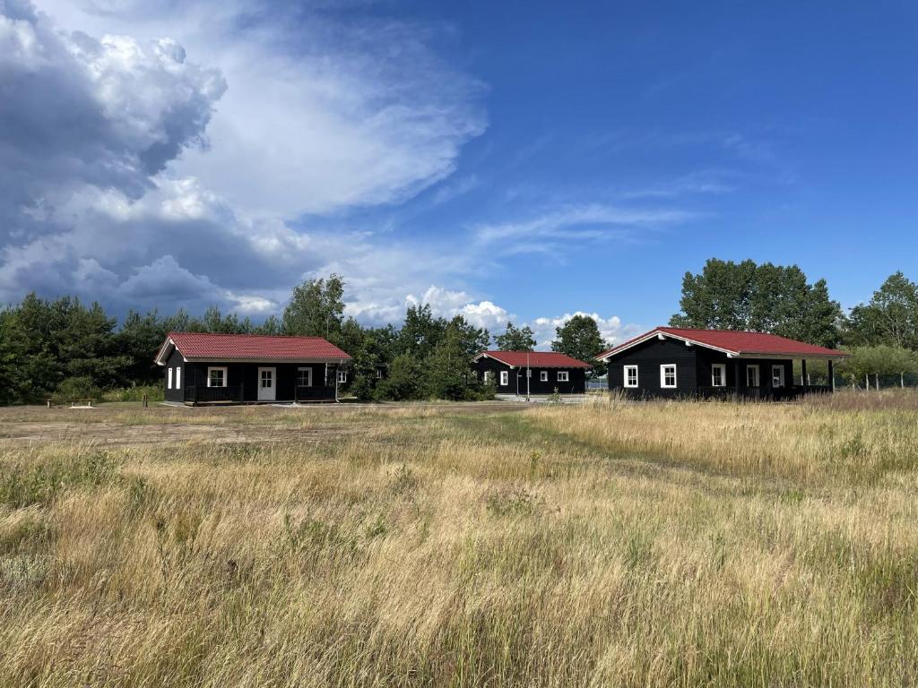 een groep huizen in een veld in een veld bij Safarilodge am Bärwalder See 