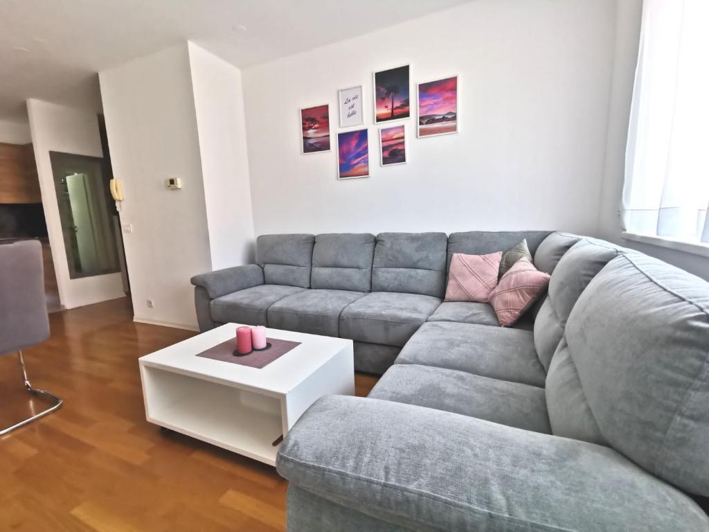 Apartman MERI في Strmec Samoborski: غرفة معيشة مع أريكة رمادية وطاولة