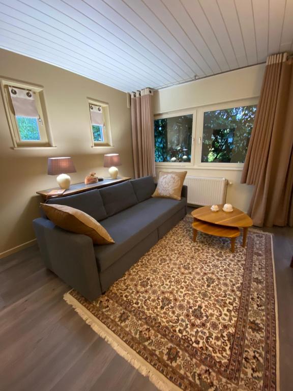 Posezení v ubytování Studio & Appartement au Lac