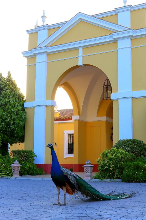Gallery image of Hotel Hacienda Montenmedio in Vejer de la Frontera
