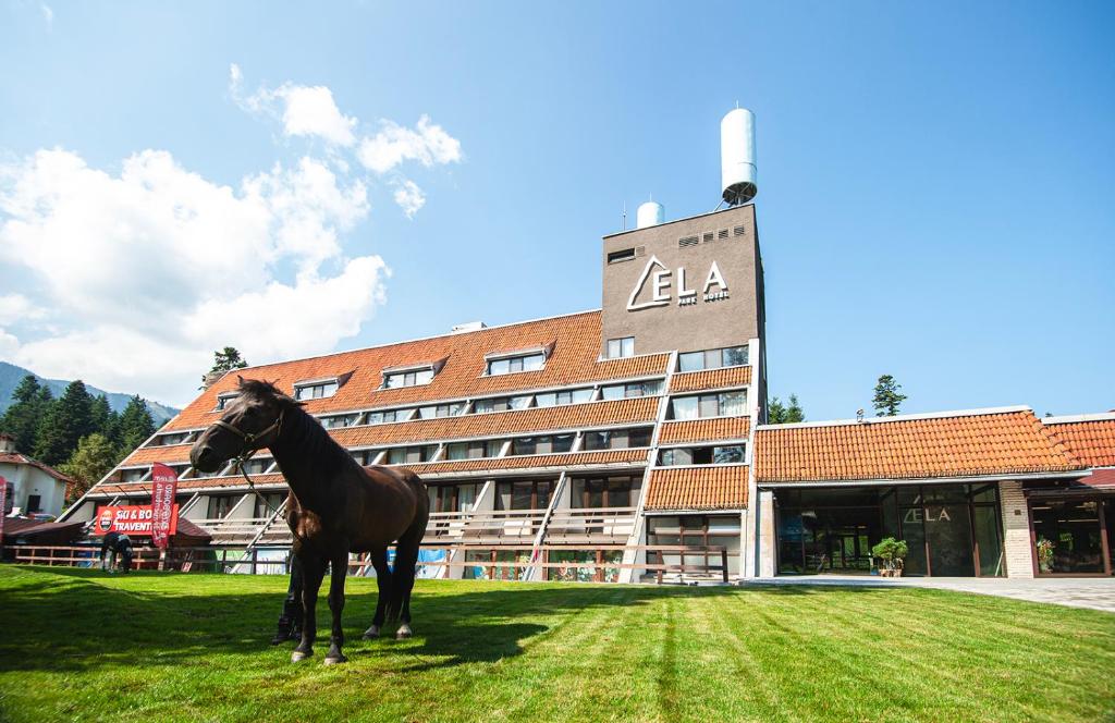 a horse standing in the grass in front of a building at "Park Hotel Ela" in Borovets