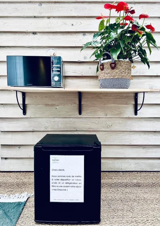 a table with a radio and a potted plant at Hôtel Gaspard in Le Touquet-Paris-Plage