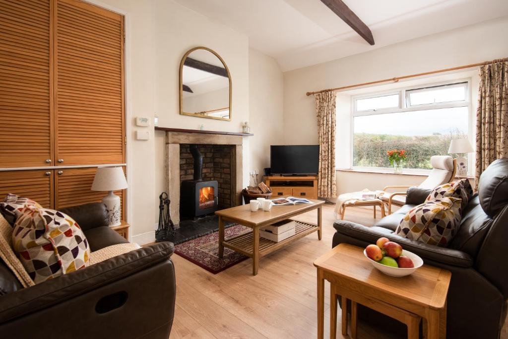 a living room with a couch and a fireplace at Wagtail Cottage in Berwick-Upon-Tweed