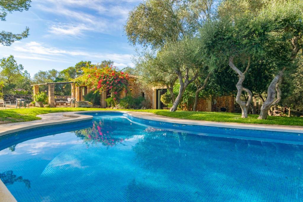 a swimming pool in a yard with trees at Garriga d'Alcudiola in Santa Margalida