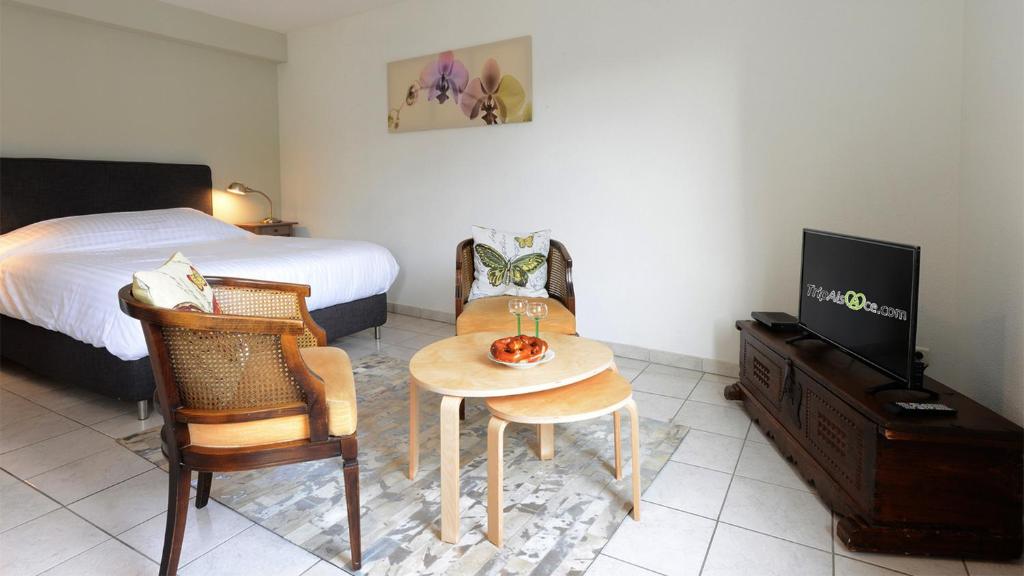 une chambre avec un lit, une table et une télévision dans l'établissement ROESSELMANN 1, à Colmar