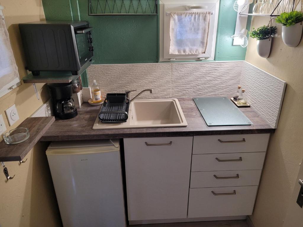 a small kitchen with a sink and a laptop on a counter at La paillote idyllique in Faverolles-sur-Cher