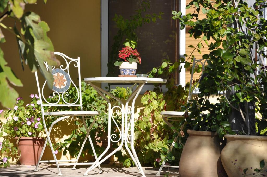 a white table and chair with flowers and plants at The OLive Tree in Ẕafririm