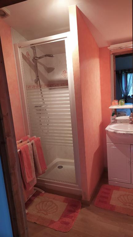 a bathroom with a shower and a sink at Chambres d&#39;hôtes La Hulotte 69 in Villechenève