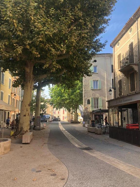 un arbre au milieu d'une rue avec des bâtiments dans l'établissement ÉcoHavre Correns, à Correns